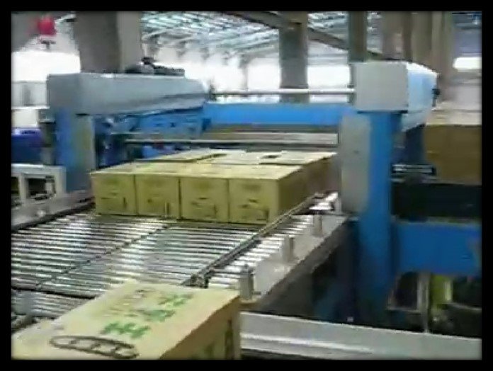 high-position-palletizing-machine