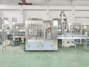 Bottle Washing Filling Capping Monoblok CXGF8-8-3 2